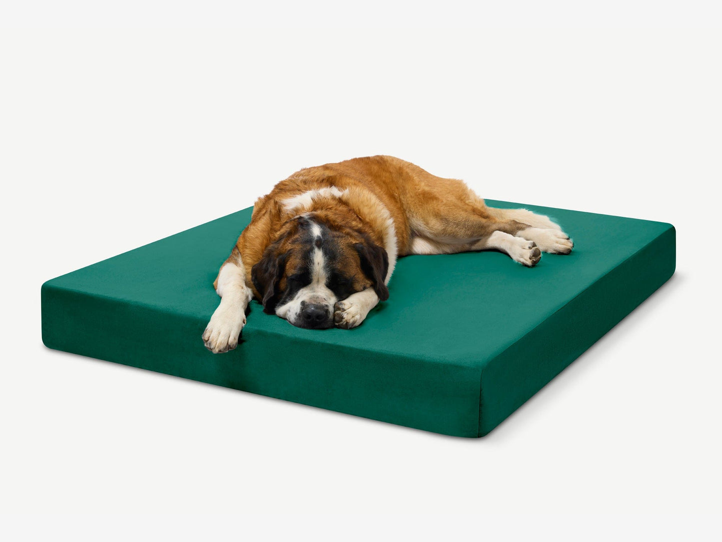 PETLOOM Original Orthopedic Dog Bed™