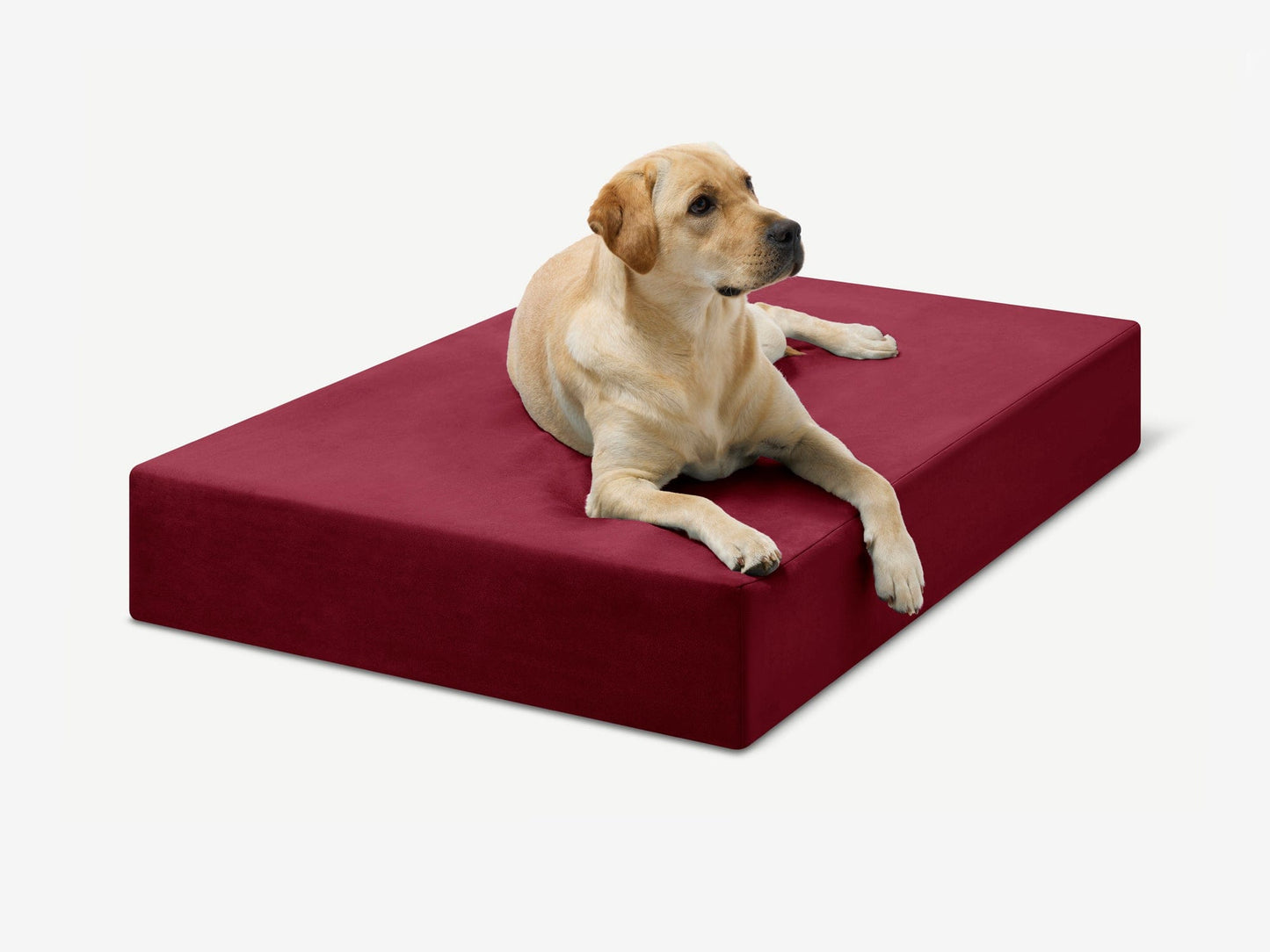 PETLOOM Original Orthopedic Dog Bed™
