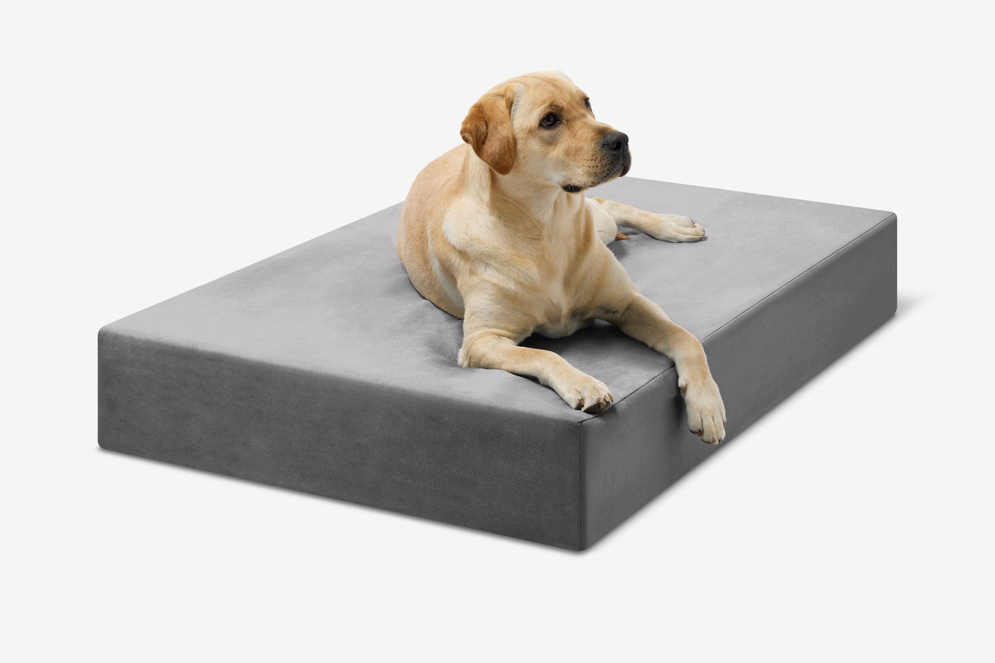 PETLOOM Original Orthopedic Dog Bed™