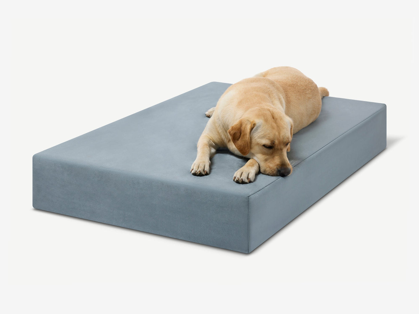 PETLOOM Original Orthopedic Dog Bed™