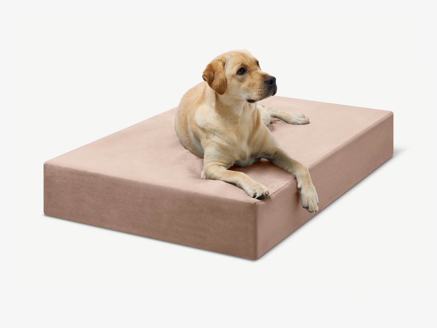 PETLOOM Original Orthopedic Dog Bed™