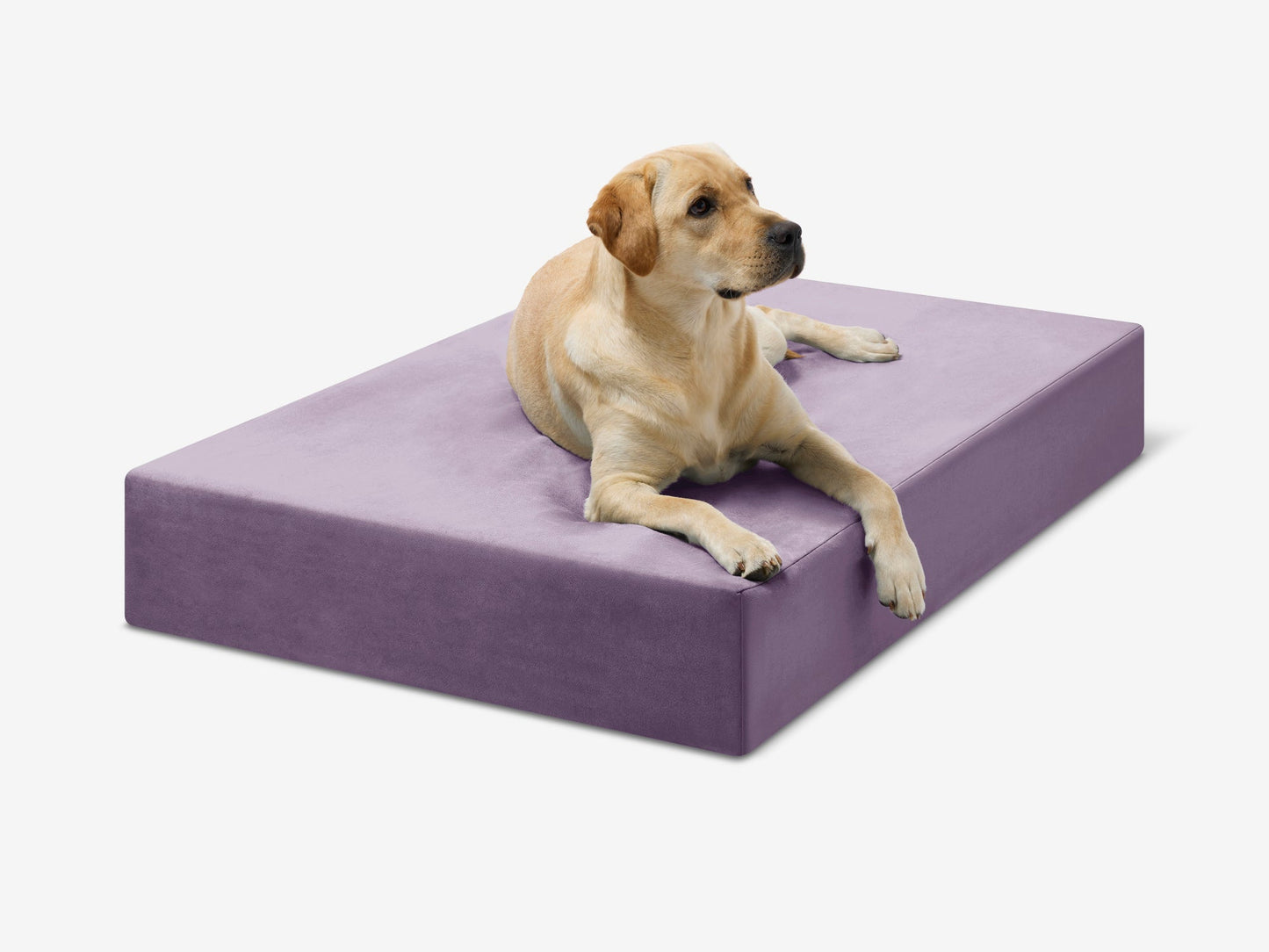 PETLOOM Original Orthopedic Dog Bed™