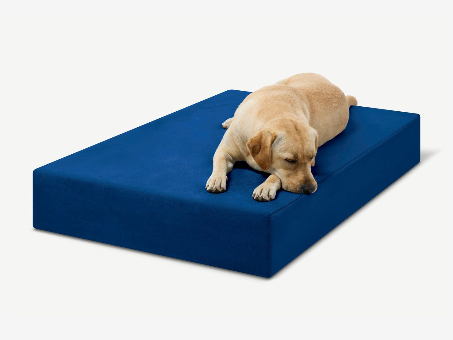 PETLOOM Original Orthopedic Dog Bed™