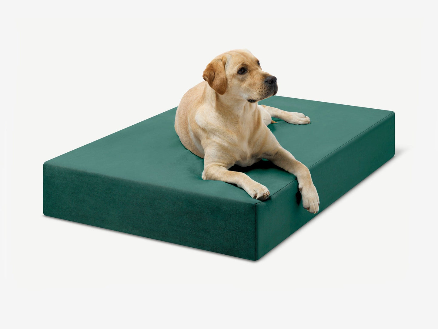 PETLOOM Original Orthopedic Dog Bed™