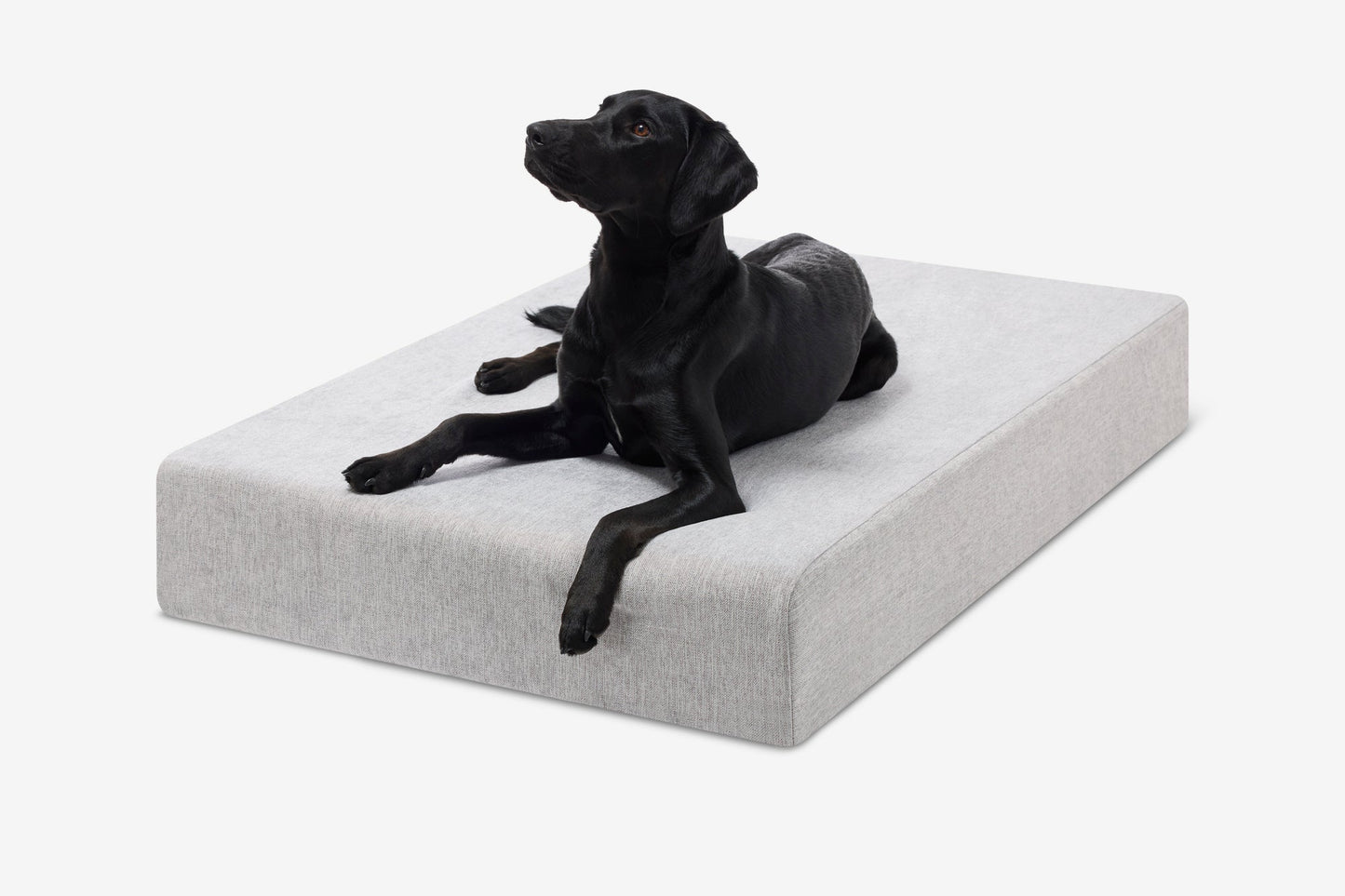 PETLOOM Original Orthopedic Dog Bed™