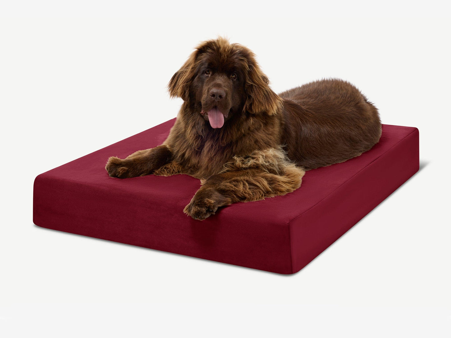 PETLOOM Original Orthopedic Dog Bed™