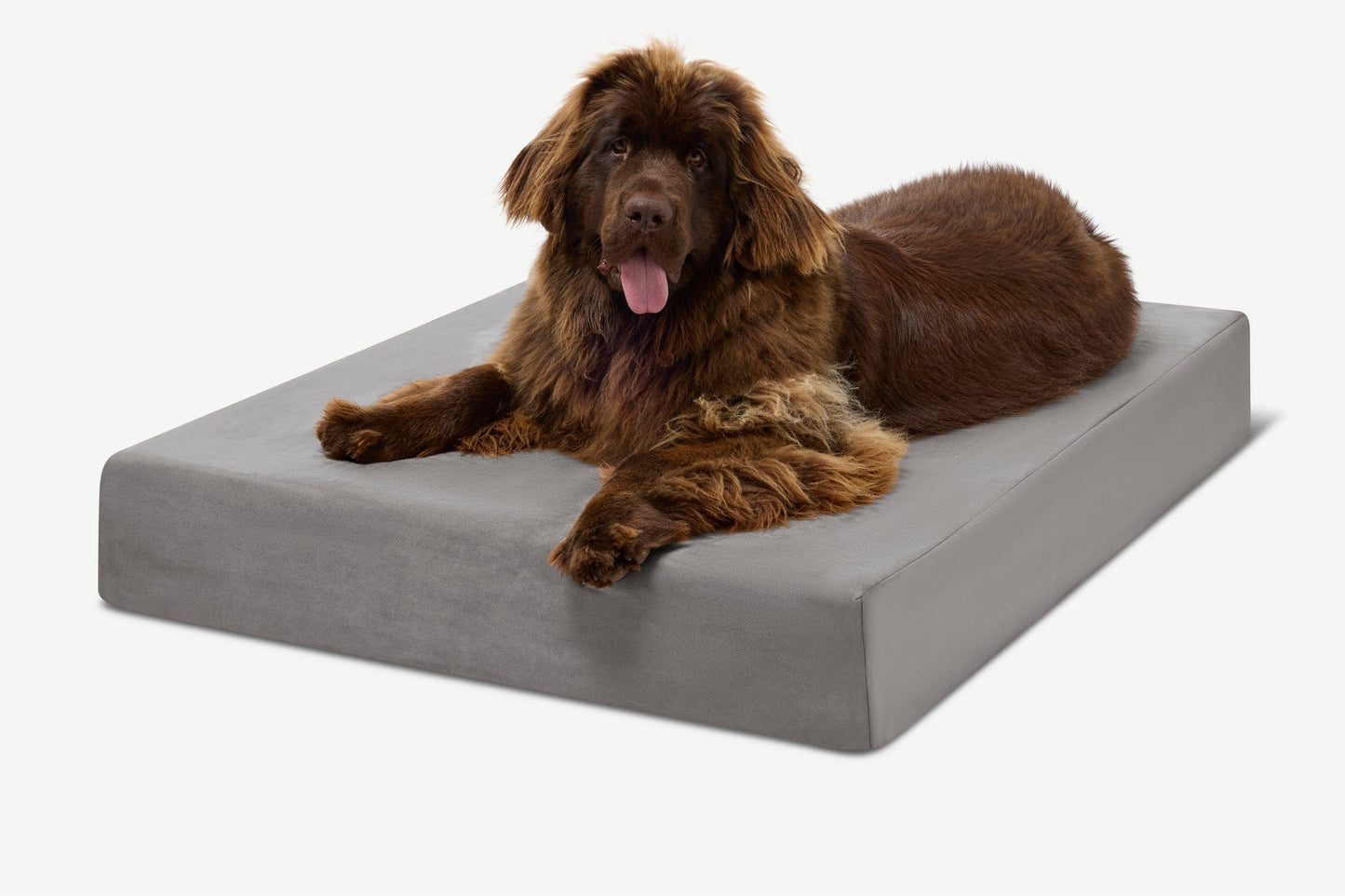 PETLOOM Original Orthopedic Dog Bed™