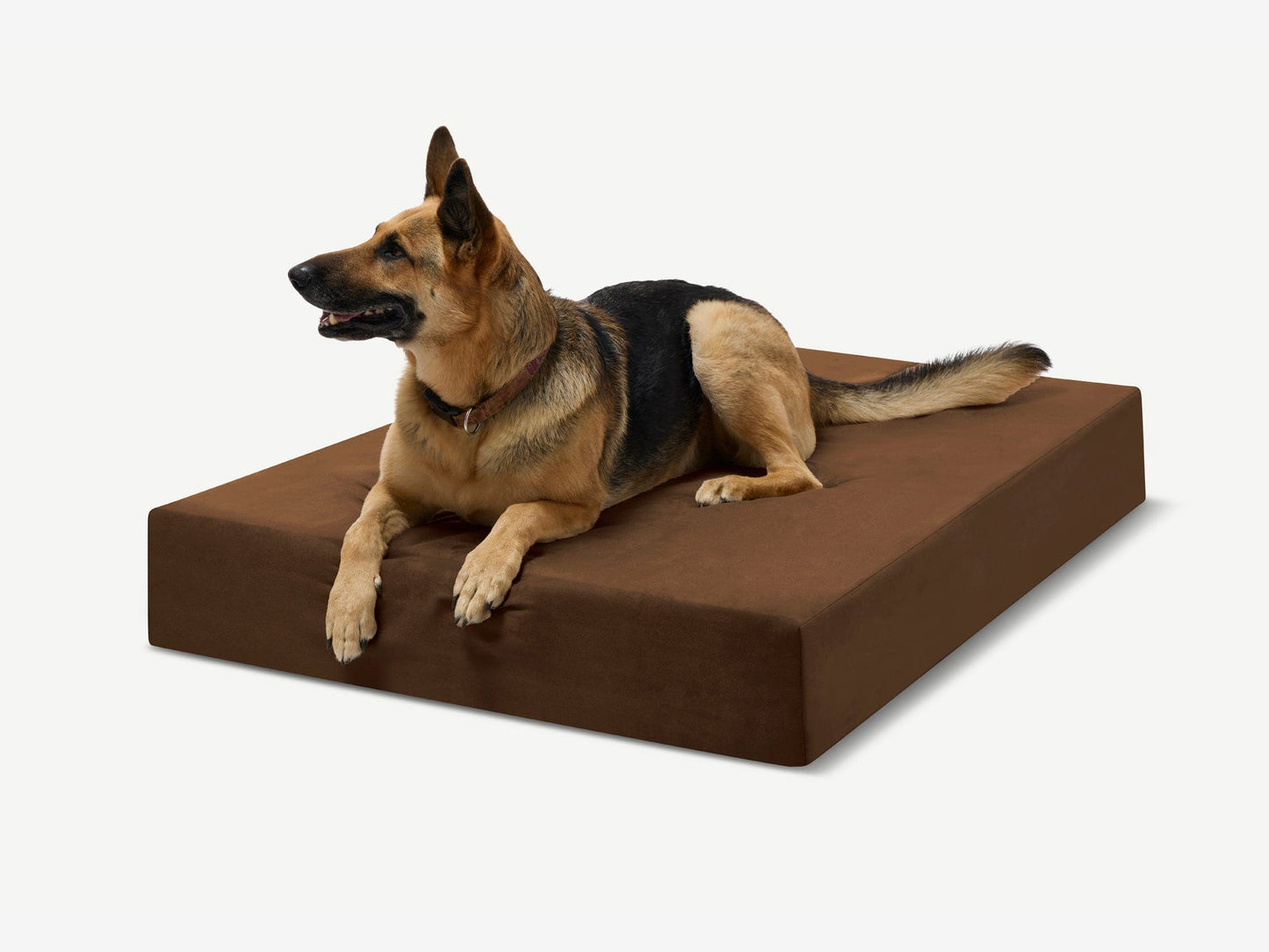 PETLOOM Original Orthopedic Dog Bed™