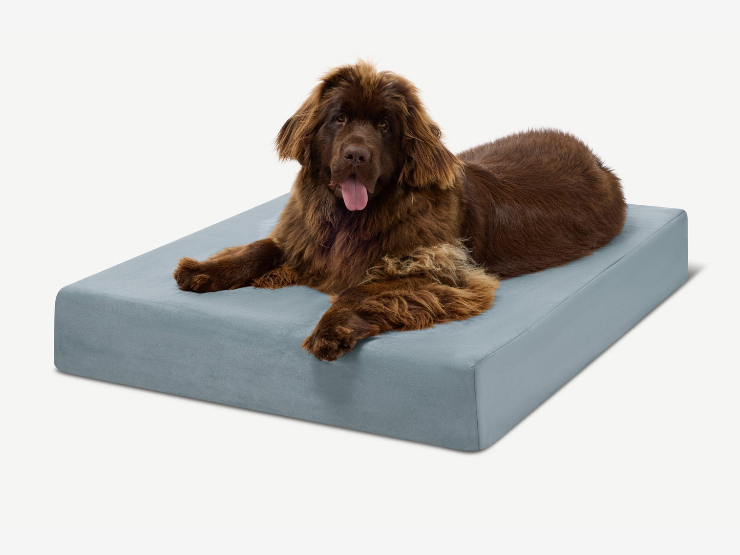 PETLOOM Original Orthopedic Dog Bed™