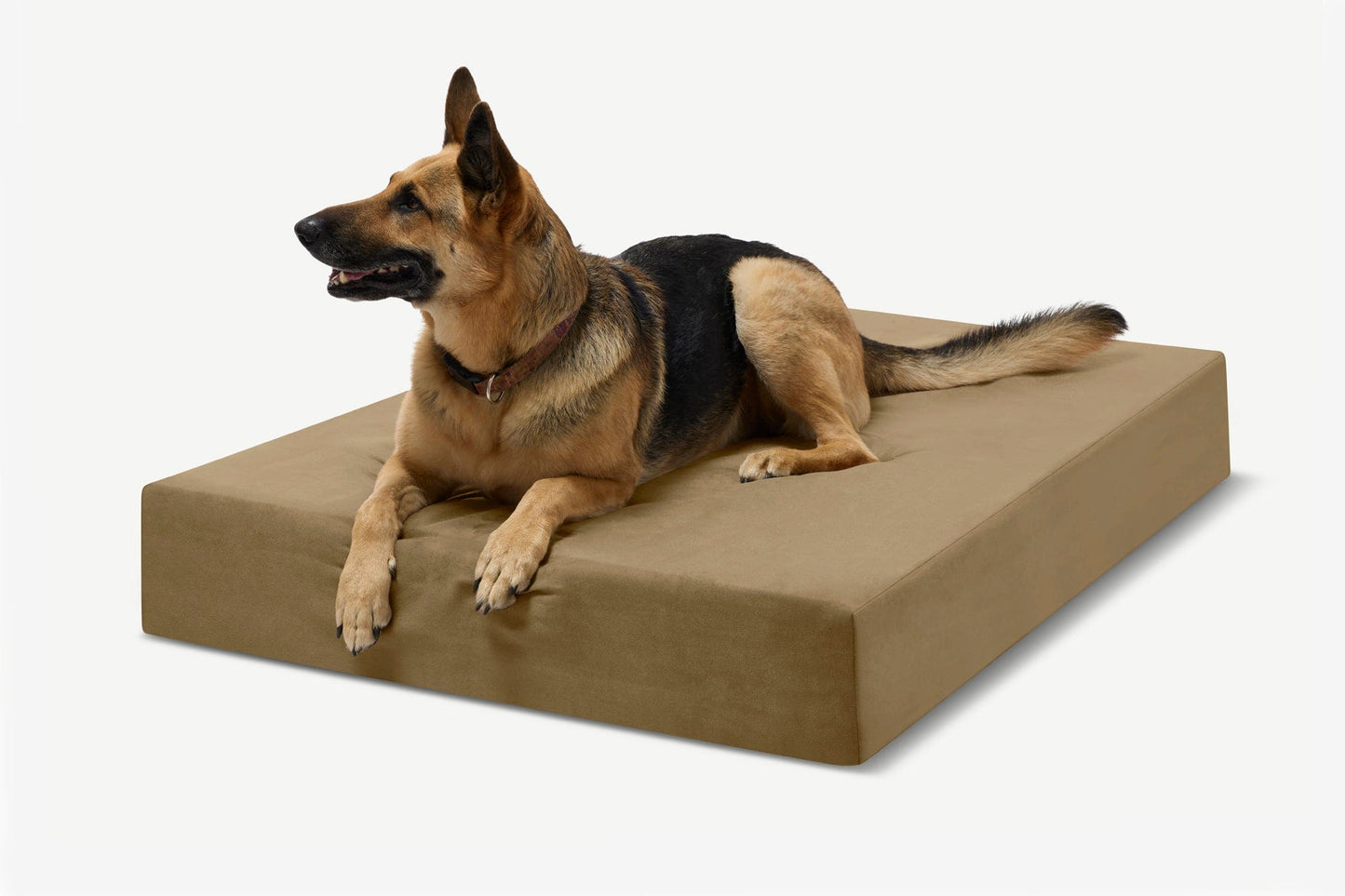 PETLOOM Original Orthopedic Dog Bed™