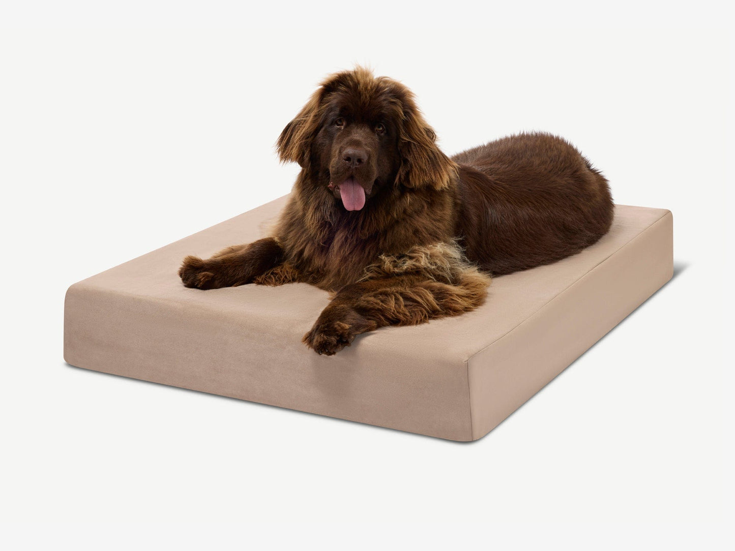 PETLOOM Original Orthopedic Dog Bed™