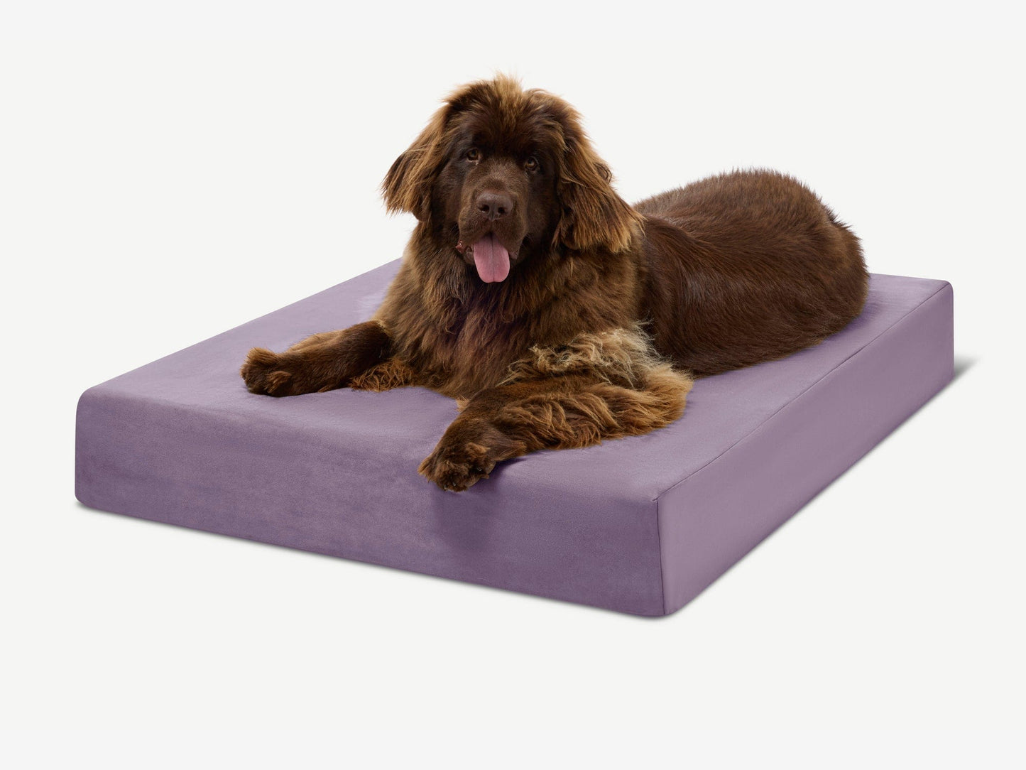 PETLOOM Original Orthopedic Dog Bed™