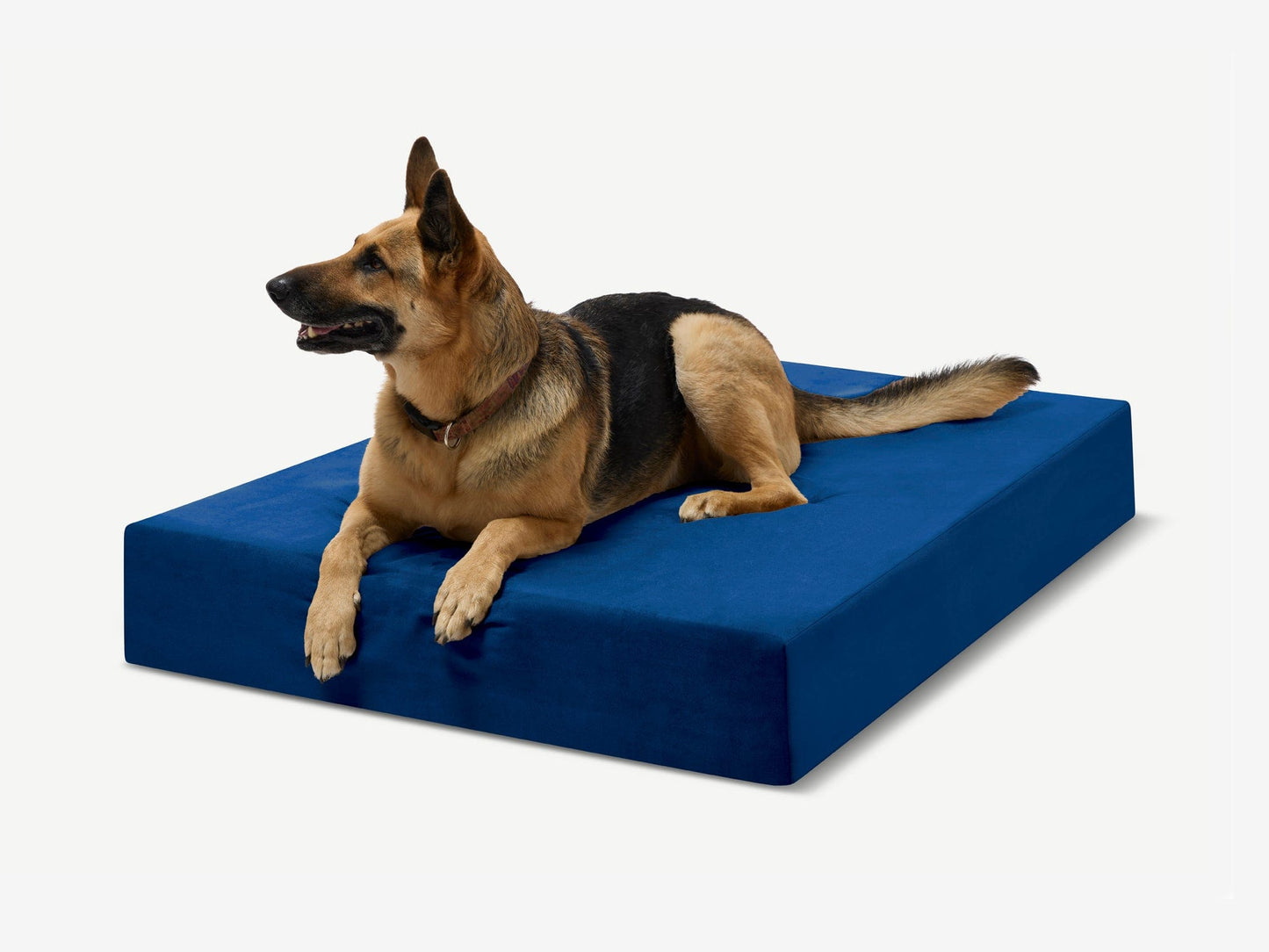 PETLOOM Original Orthopedic Dog Bed™