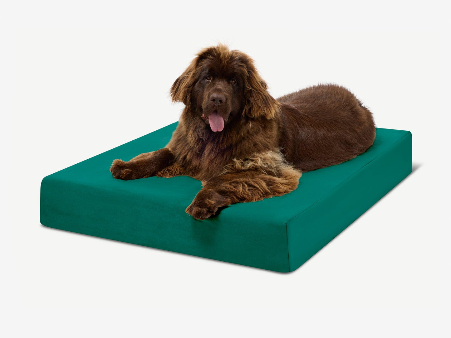 PETLOOM Original Orthopedic Dog Bed™