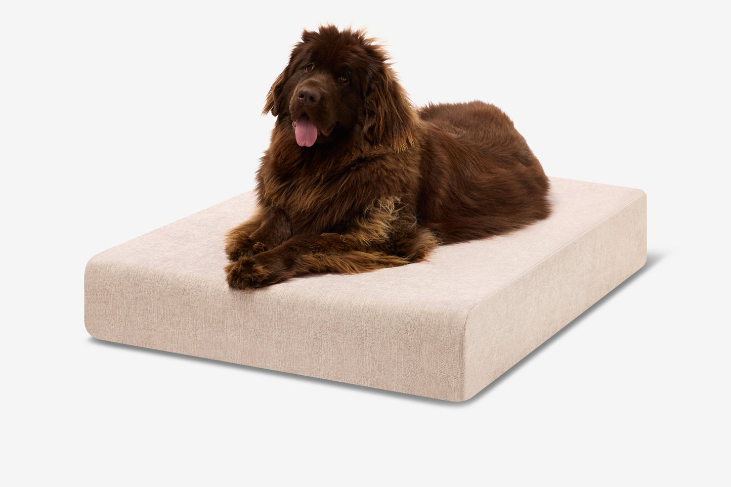 PETLOOM Original Orthopedic Dog Bed™
