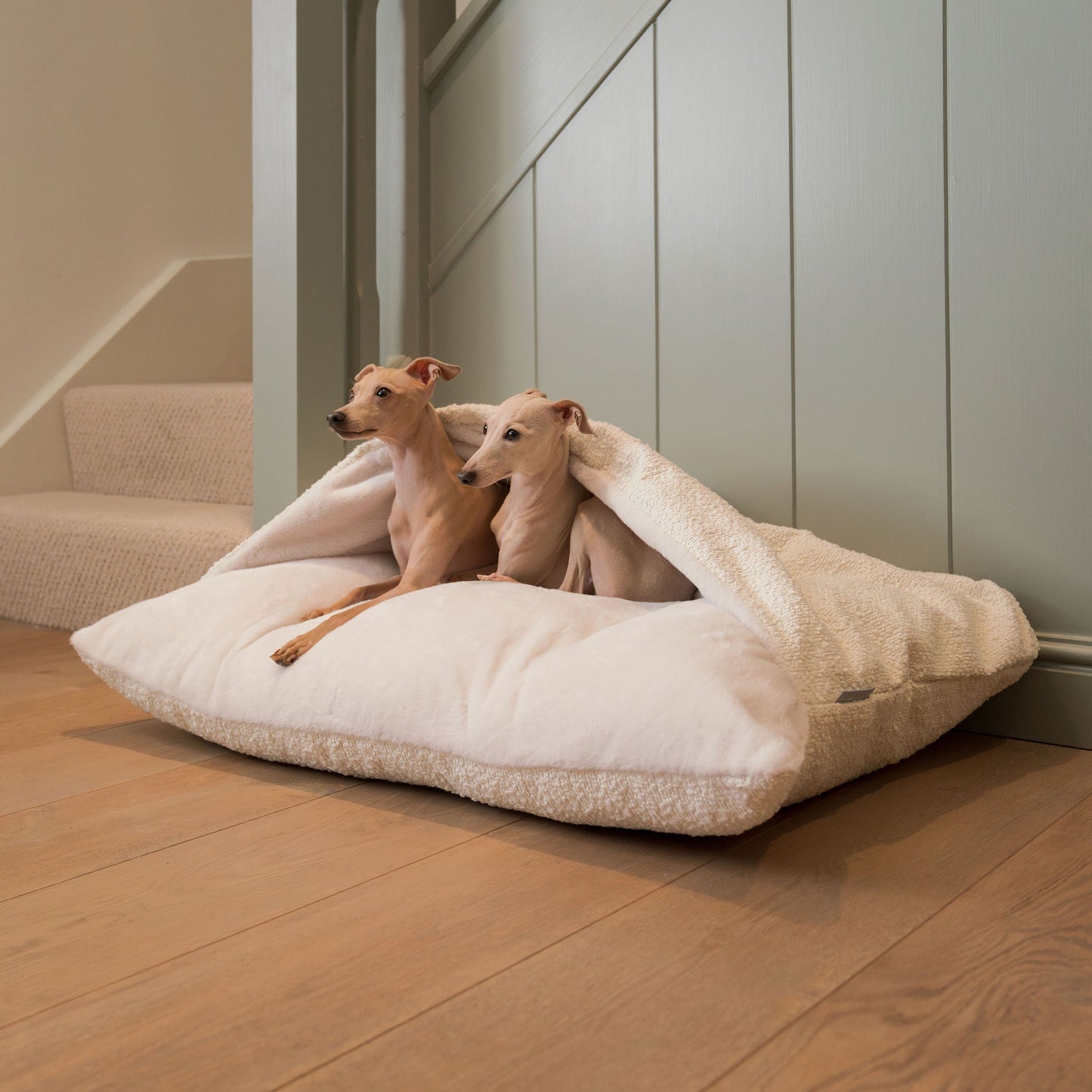 PETLOOM Sleepy Burrows Bouclé Dog Bed™