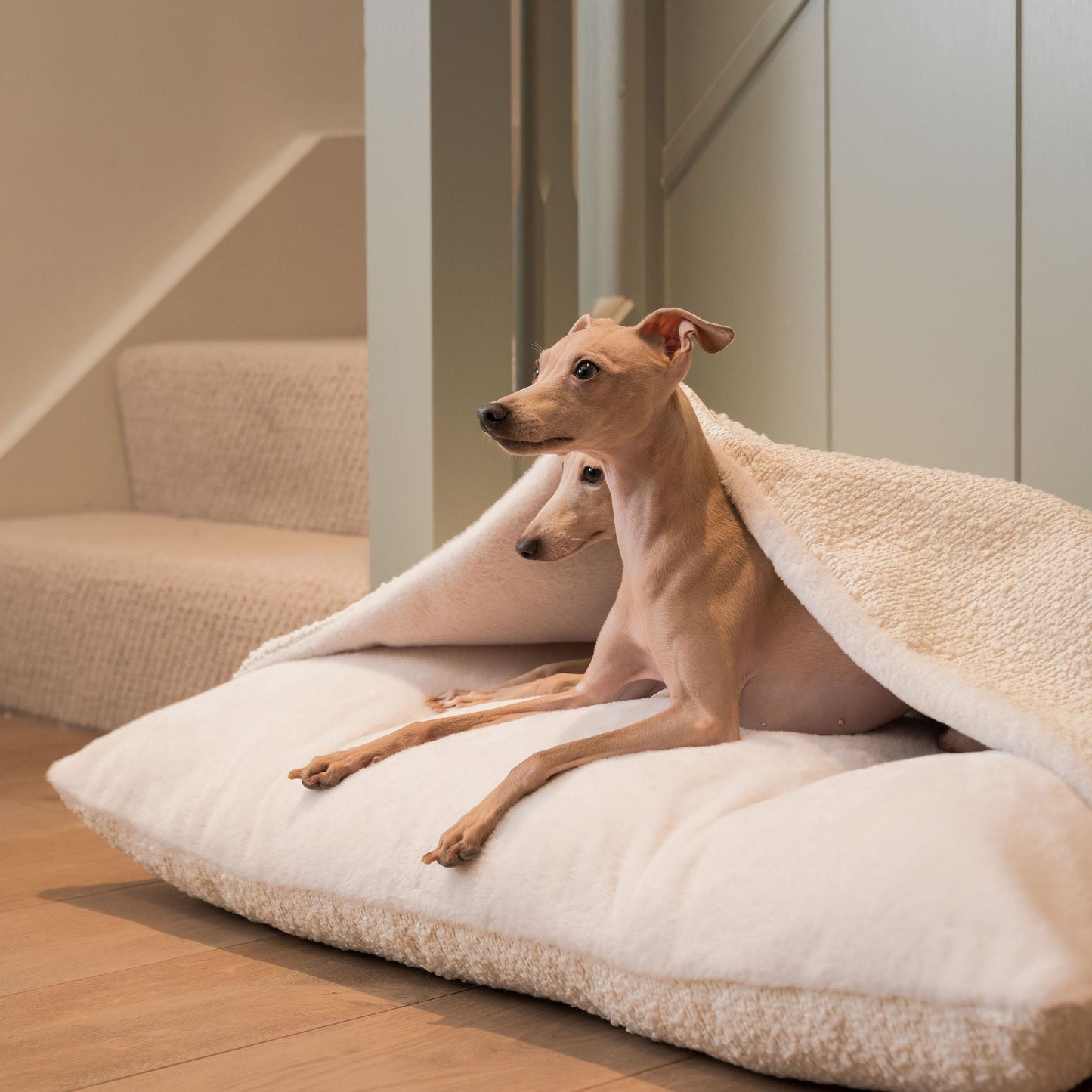 PETLOOM Sleepy Burrows Bouclé Dog Bed™