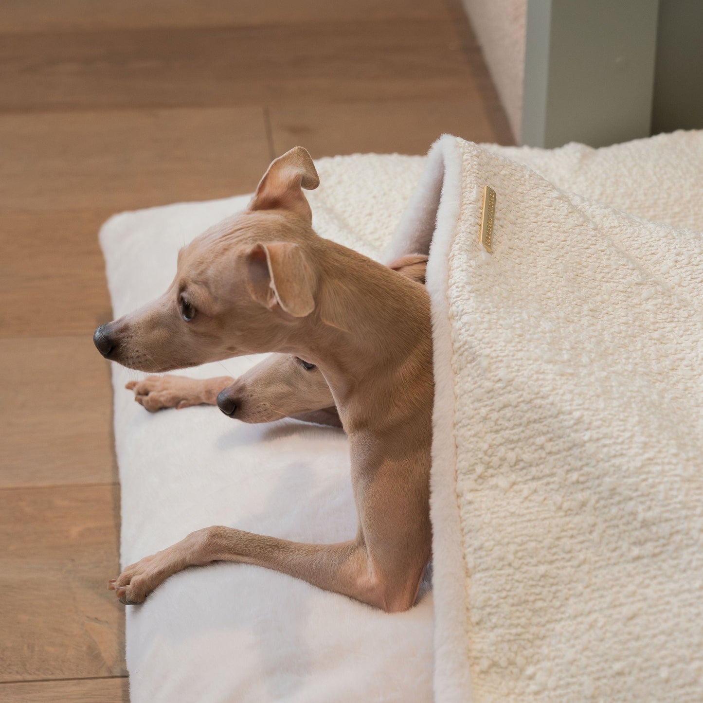 PETLOOM Sleepy Burrows Bouclé Dog Bed™