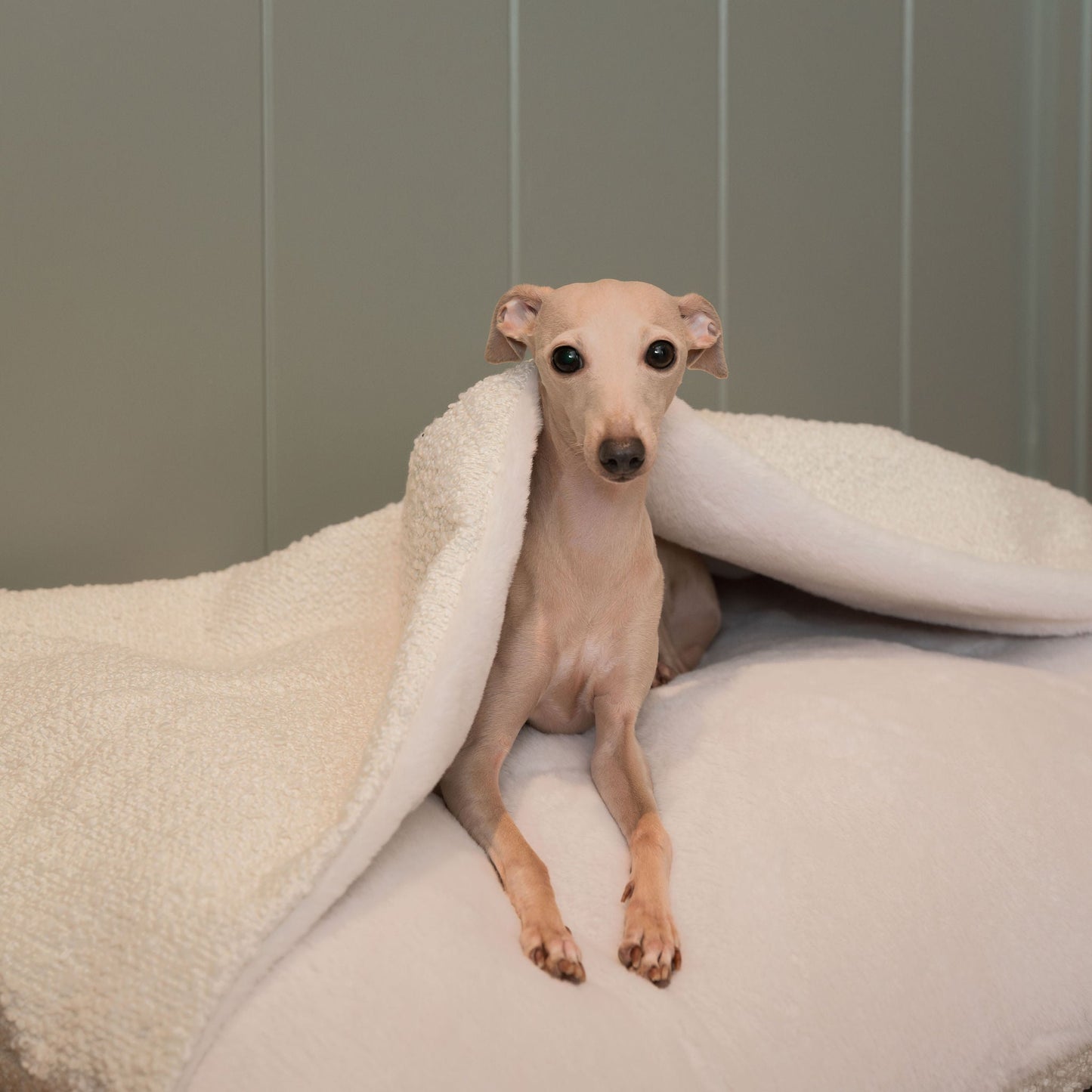 PETLOOM Sleepy Burrows Bouclé Dog Bed™