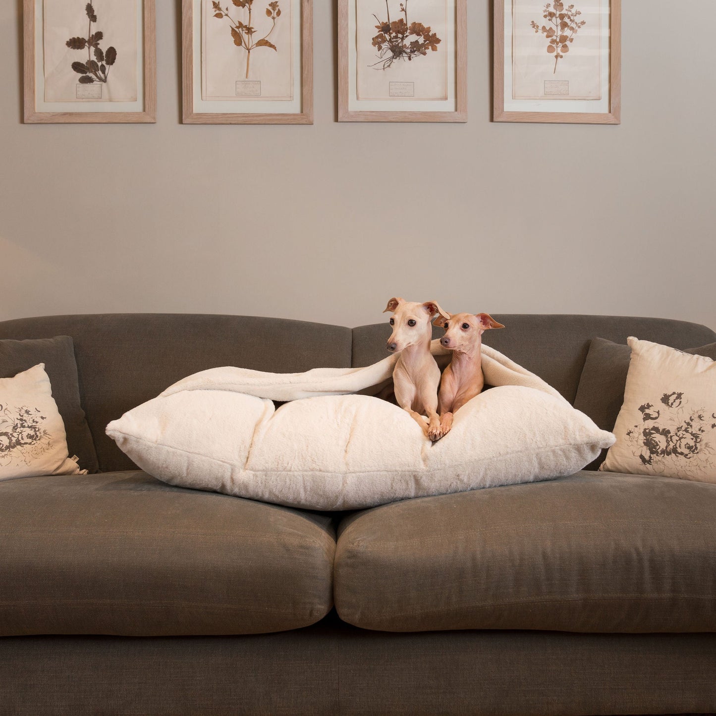 PETLOOM Sleepy Burrows Calming Faux Fur Dog Bed™