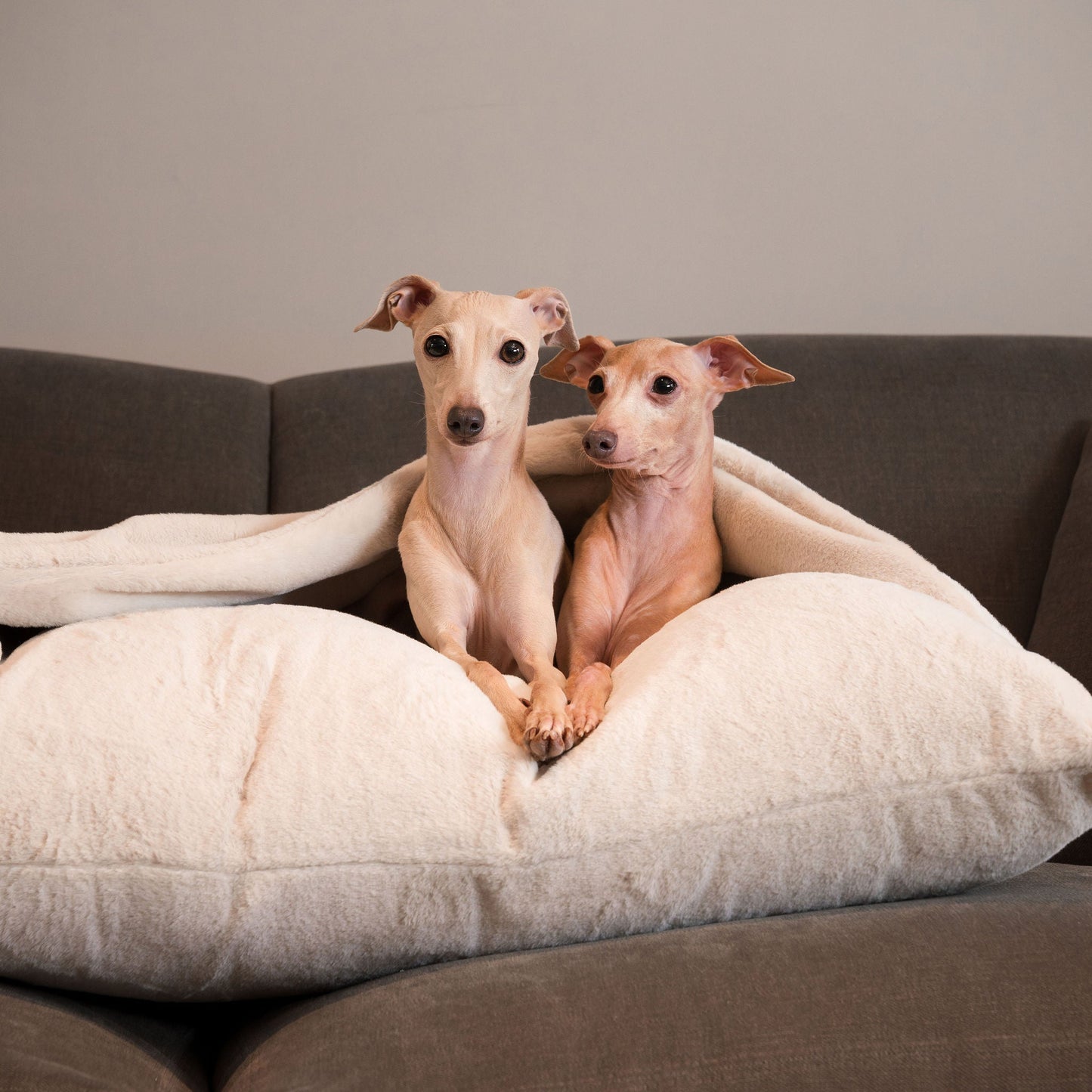PETLOOM Sleepy Burrows Calming Faux Fur Dog Bed™
