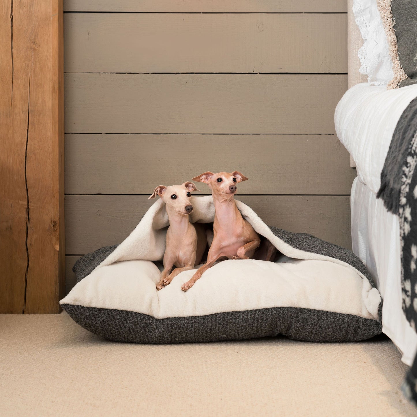 PETLOOM Sleepy Burrows Bouclé Dog Bed™