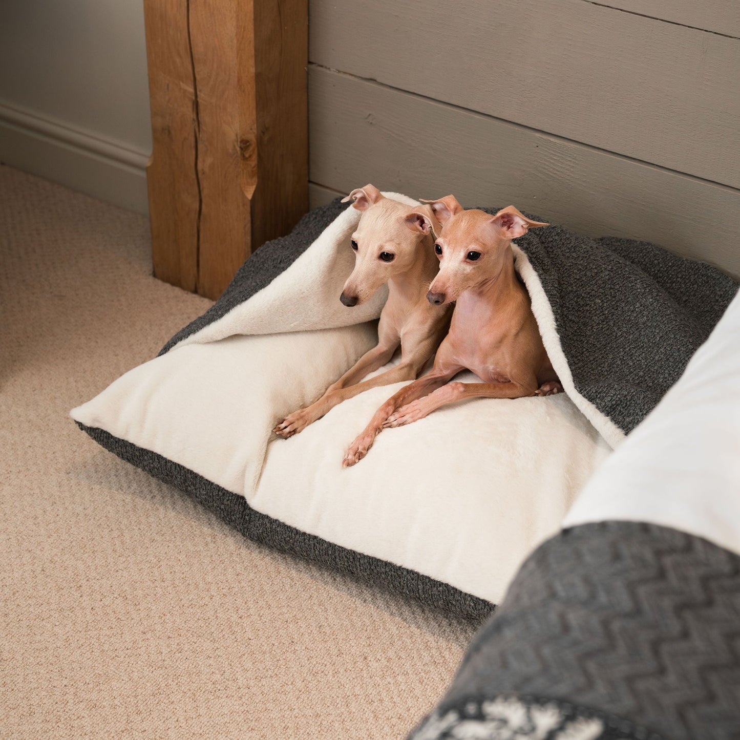 PETLOOM Sleepy Burrows Bouclé Dog Bed™
