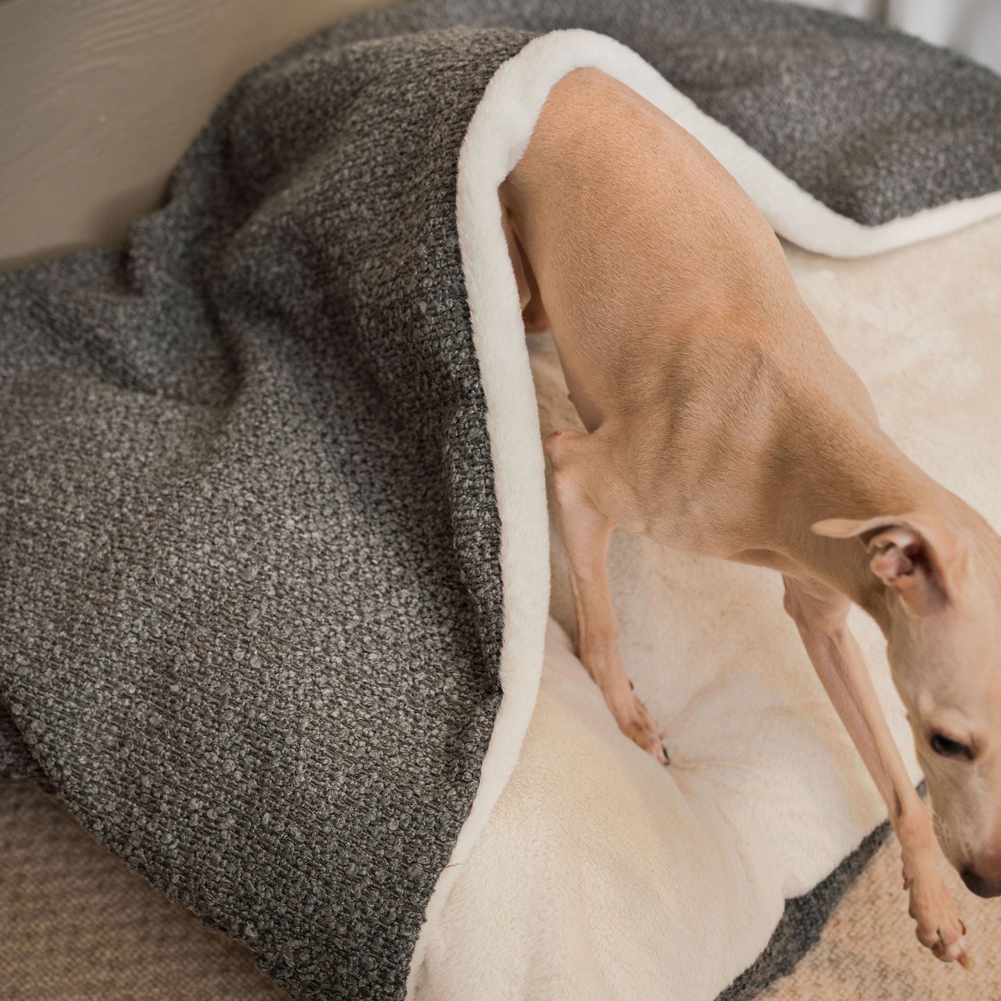 PETLOOM Sleepy Burrows Bouclé Dog Bed™