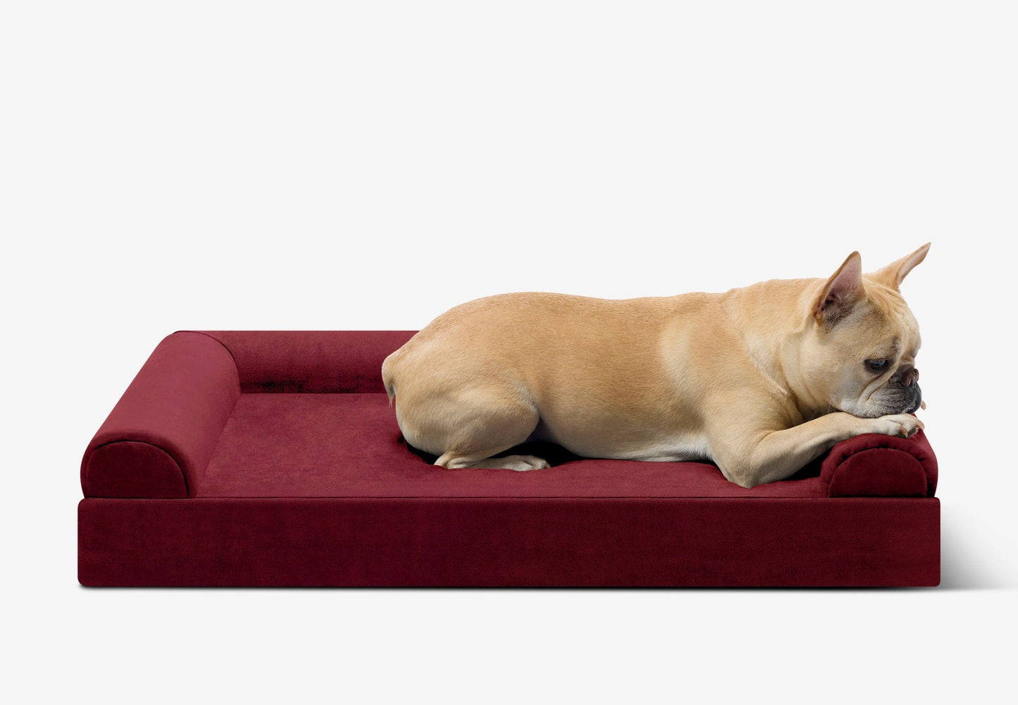 PETLOOM Junior Orthopedic Dog Bed™