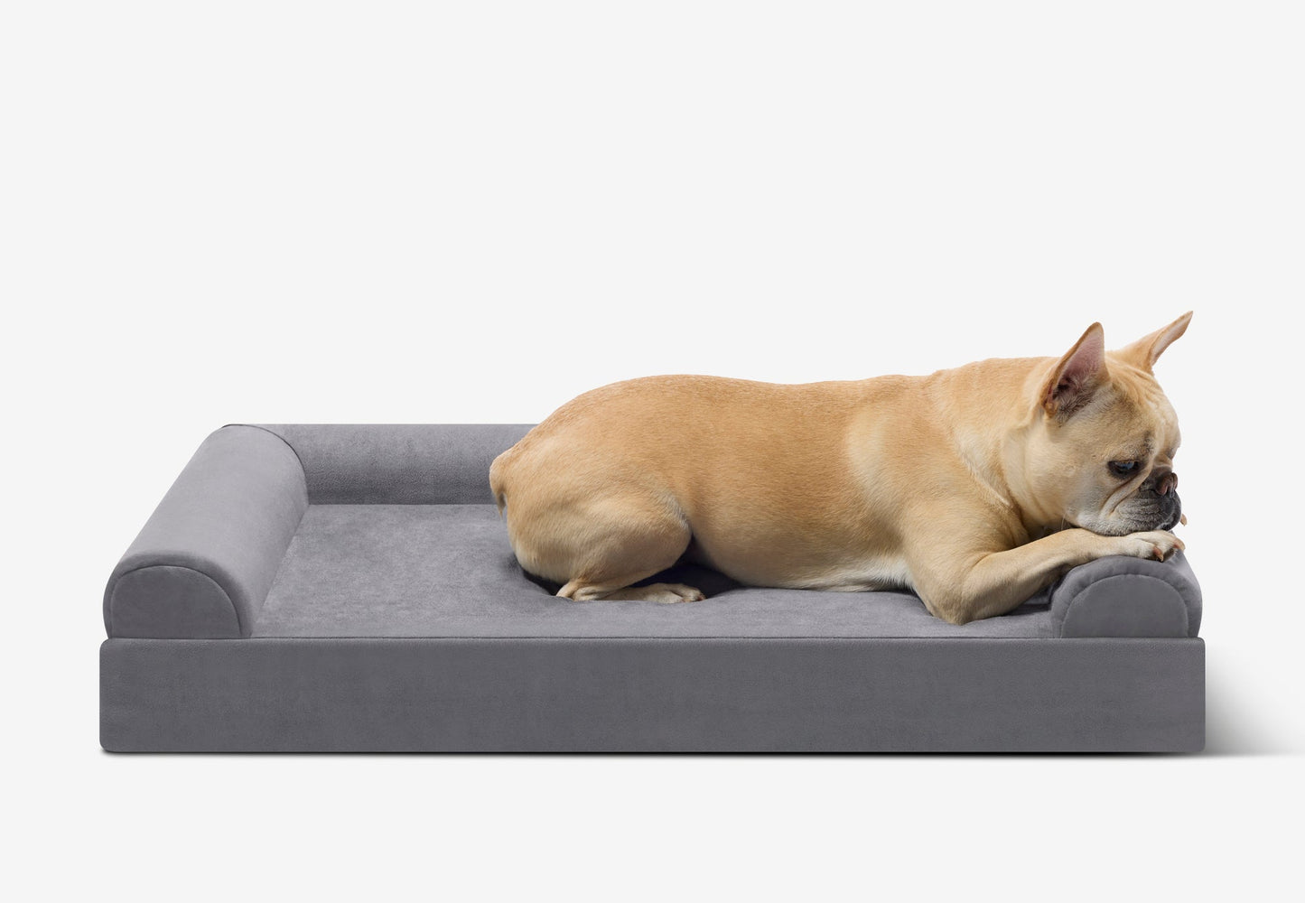 PETLOOM Junior Orthopedic Dog Bed™