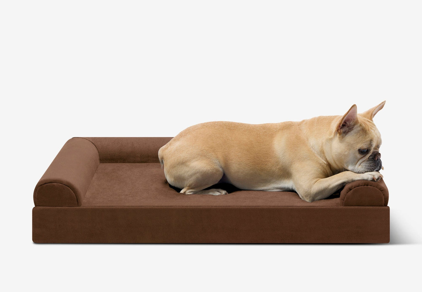 PETLOOM Junior Orthopedic Dog Bed™