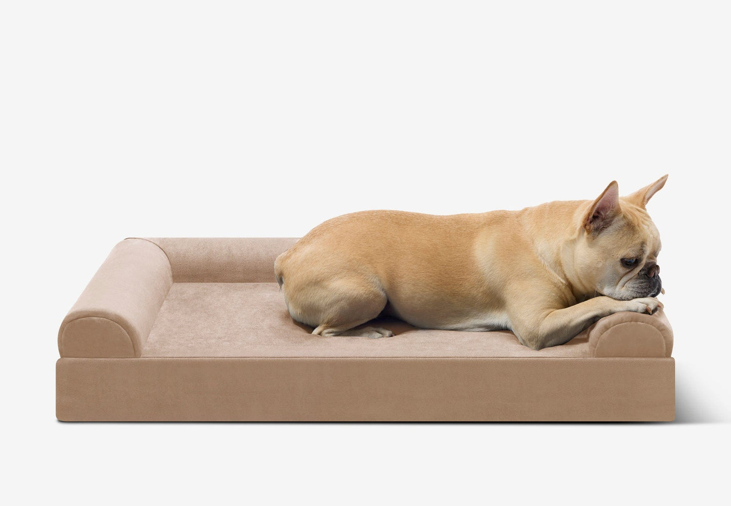 PETLOOM Junior Orthopedic Dog Bed™