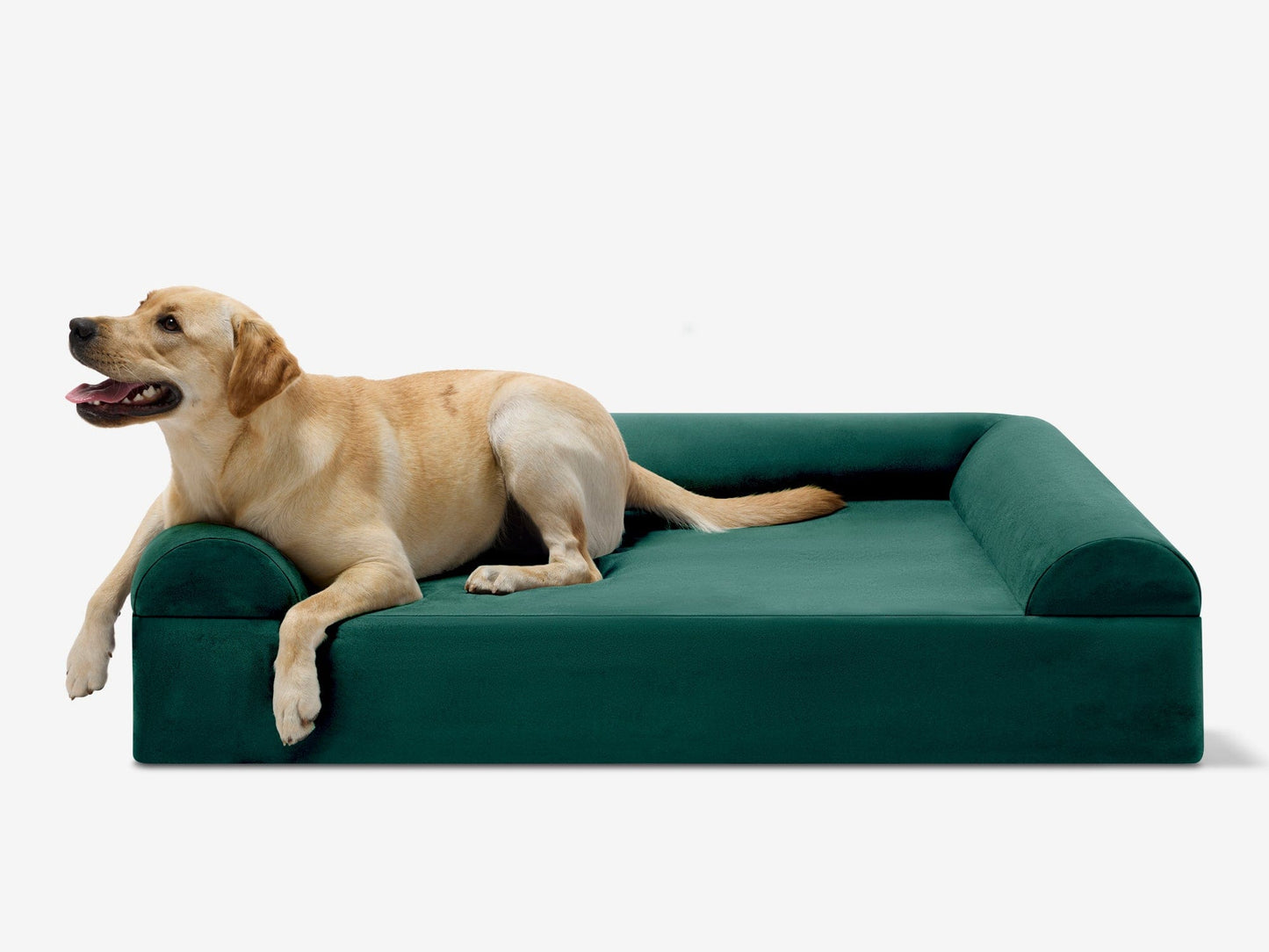 PETLOOM Original Orthopedic Dog Bed™