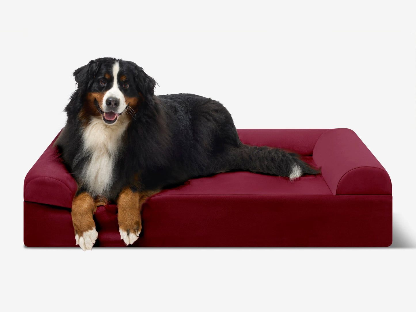 PETLOOM Original Orthopedic Dog Bed™