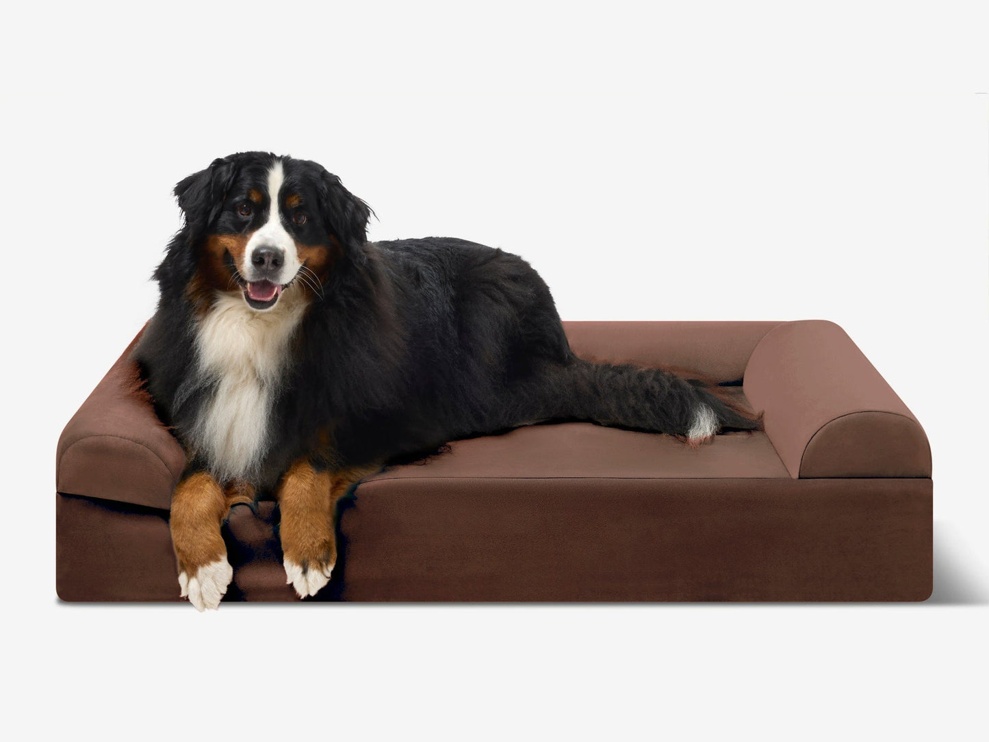 PETLOOM Original Orthopedic Dog Bed™