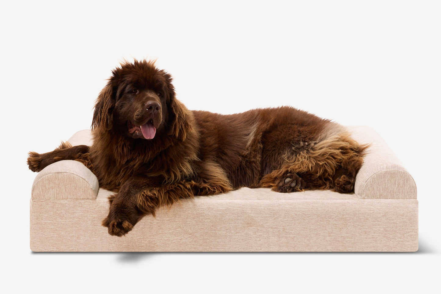 PETLOOM Original Orthopedic Dog Bed™