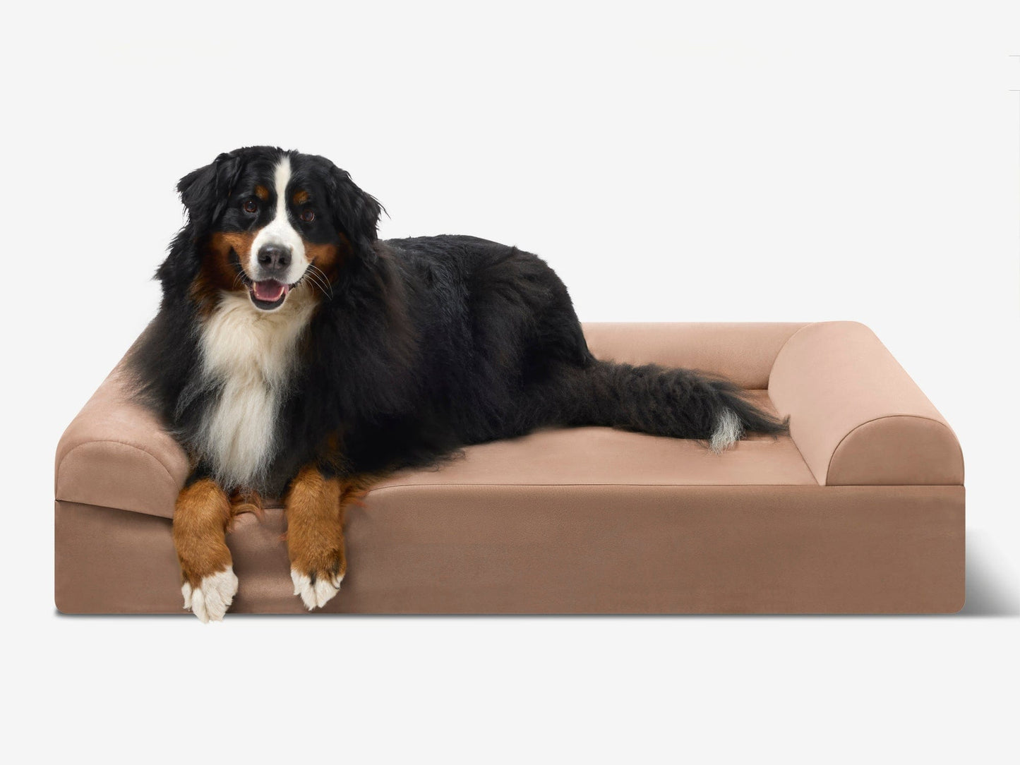 PETLOOM Original Orthopedic Dog Bed™