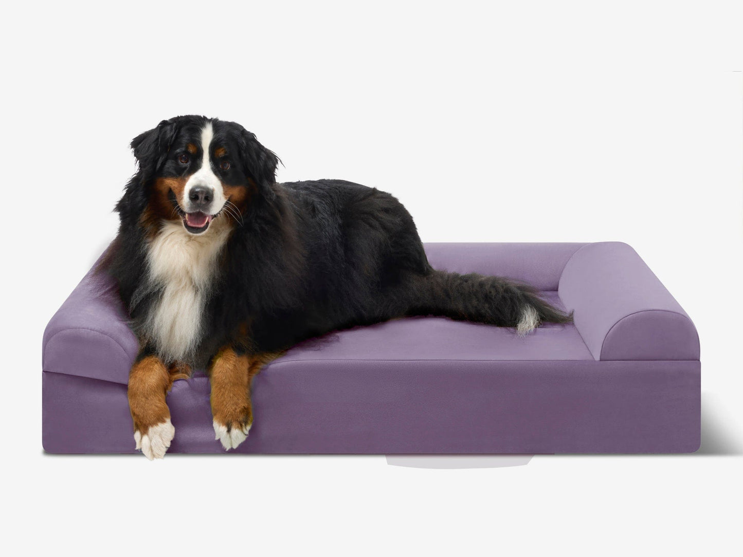 PETLOOM Original Orthopedic Dog Bed™