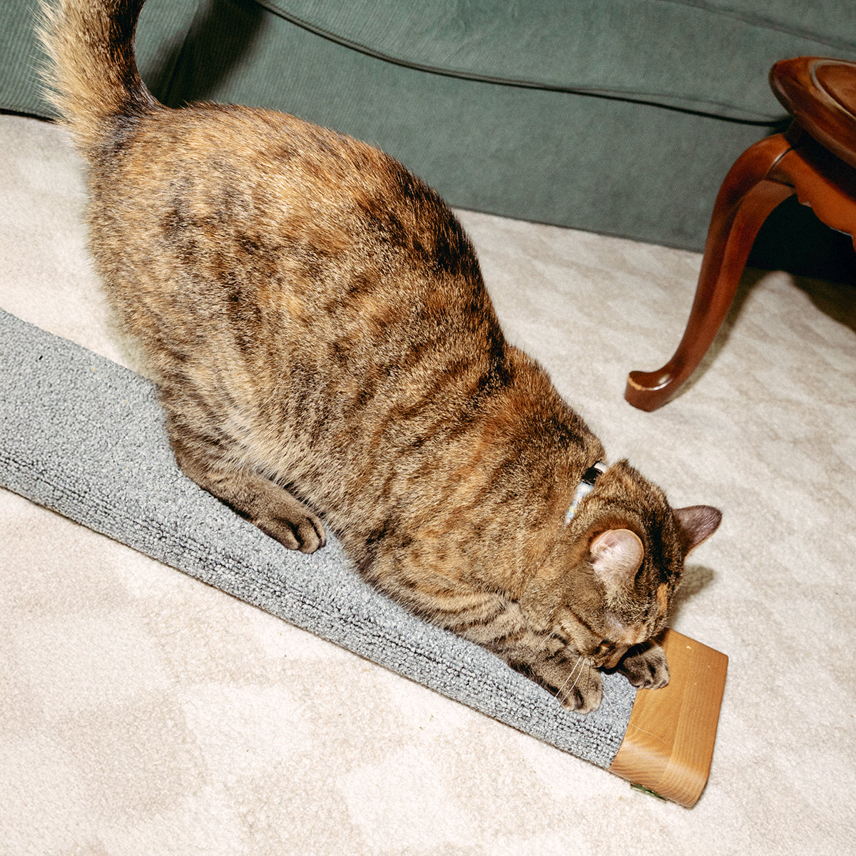 PETLOOM Tab Scratching Board™
