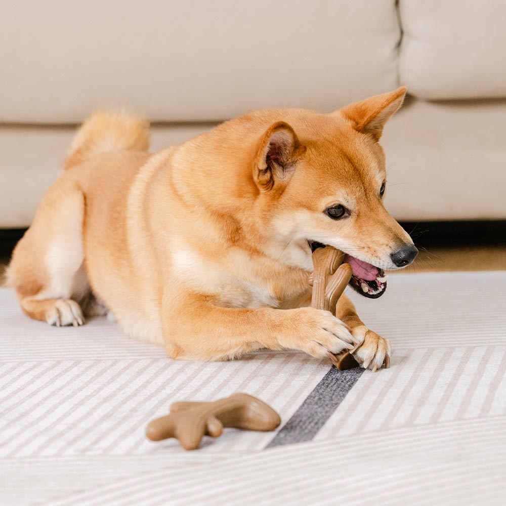 PETLOOM Bacon-Flavored Teething Bones Dog Chew Toy™