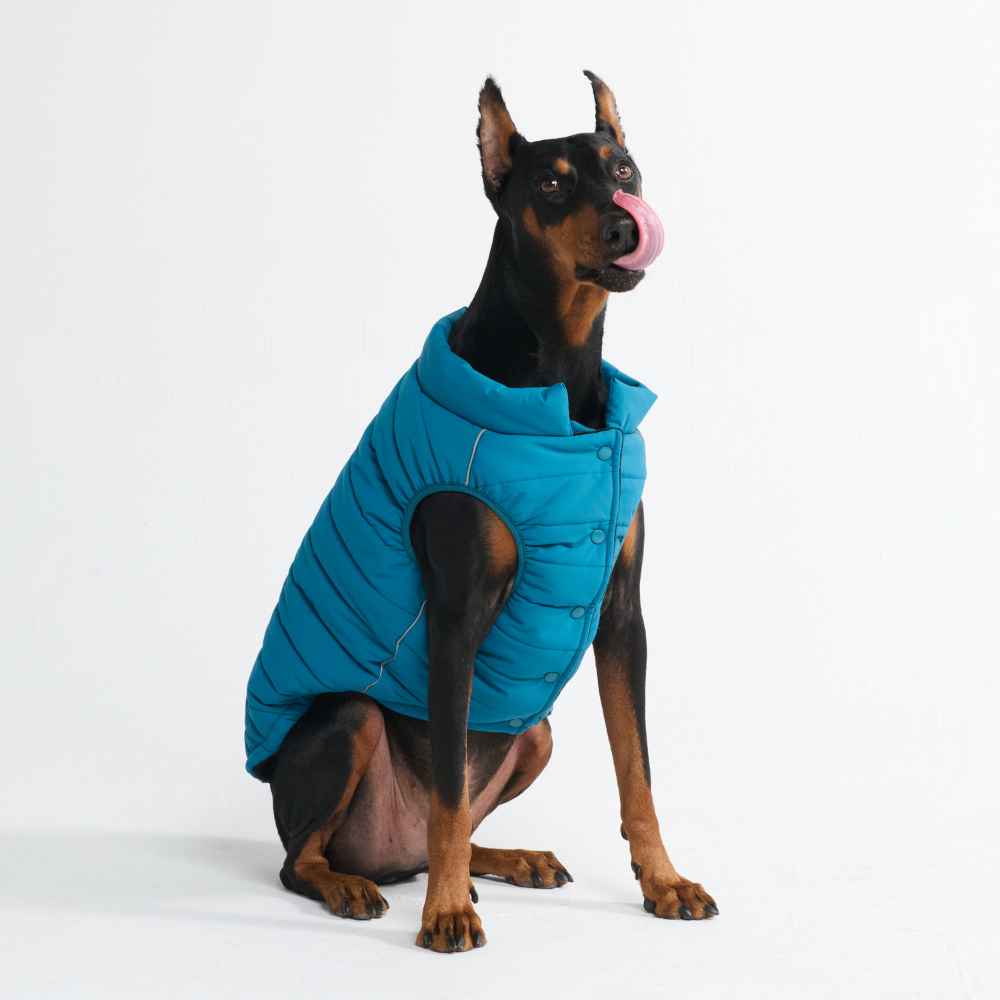 Petloom All-Season Insulated Dog Jacket™