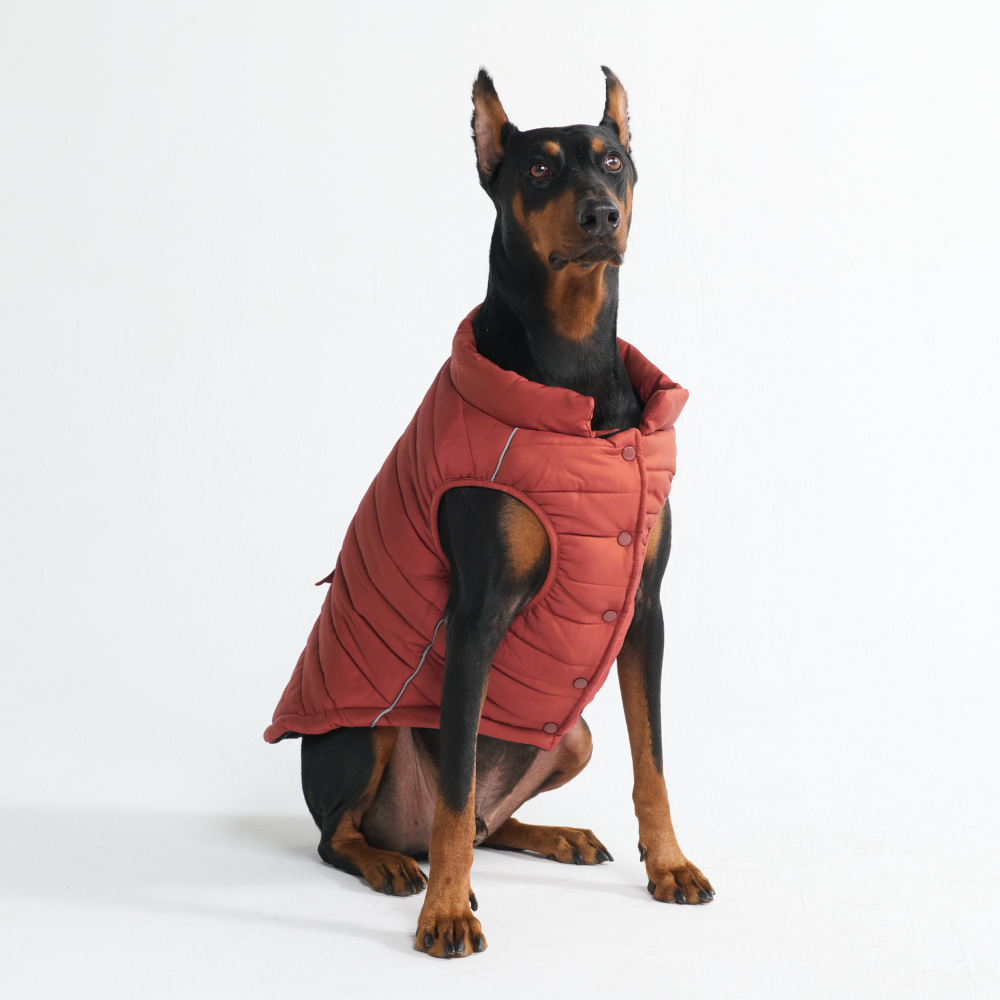 Petloom All-Season Insulated Dog Jacket™