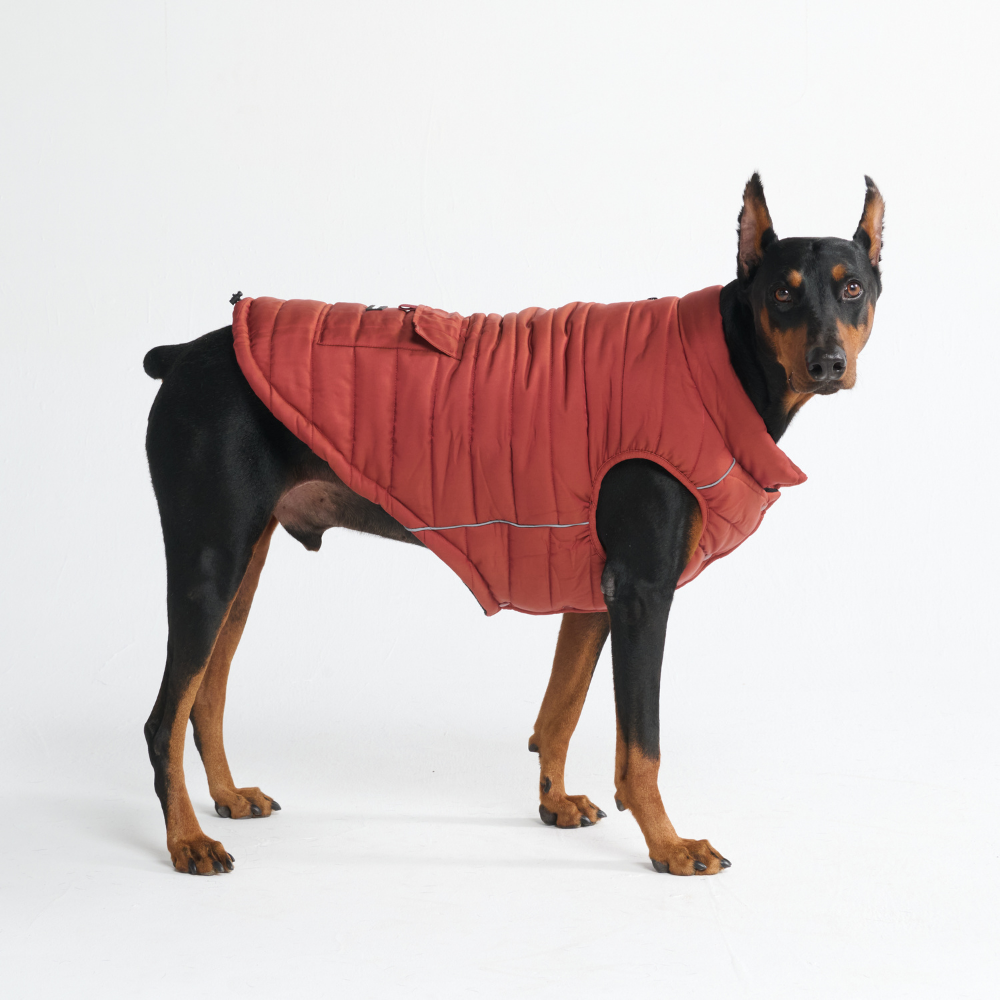 Petloom All-Season Insulated Dog Jacket™
