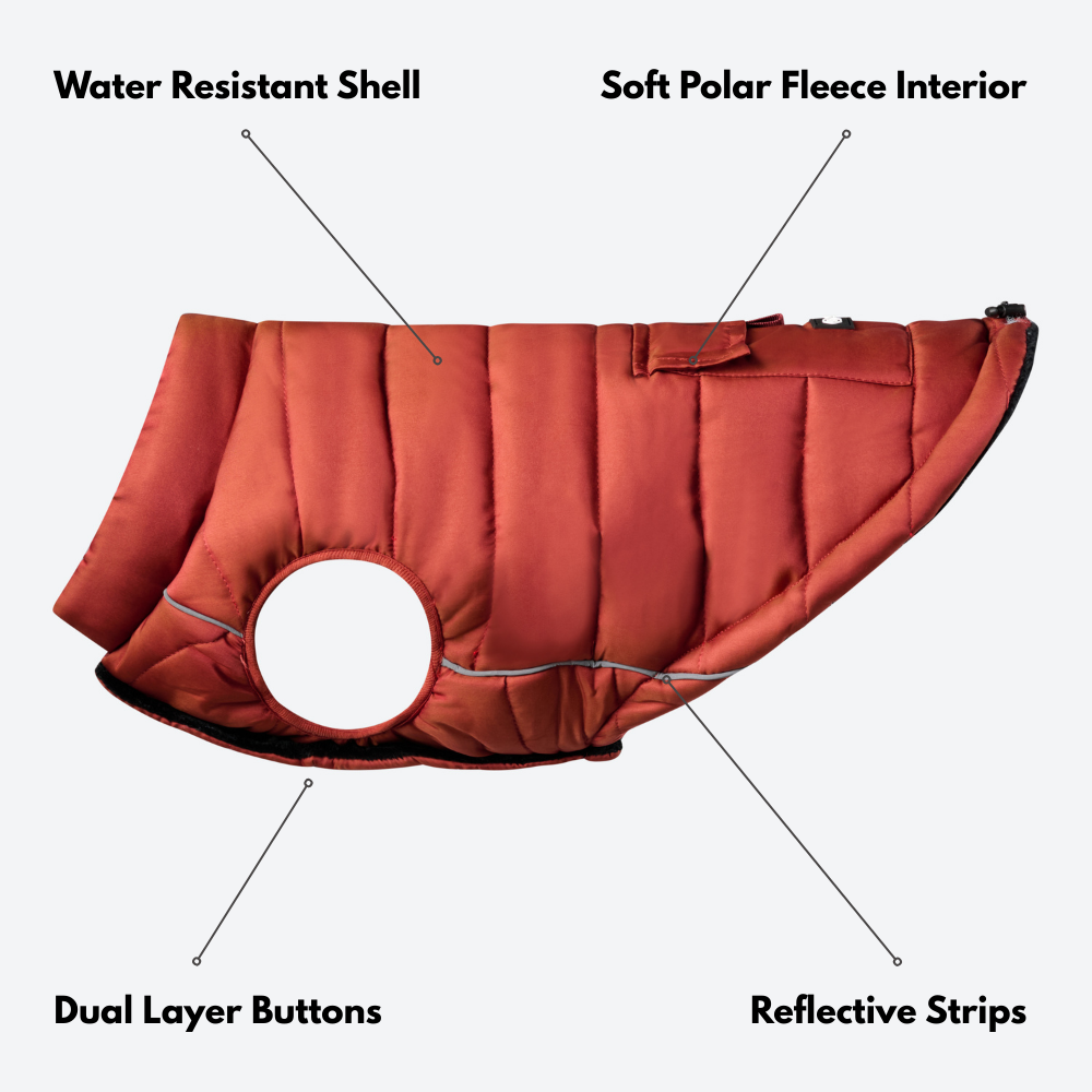 Petloom All-Season Insulated Dog Jacket™