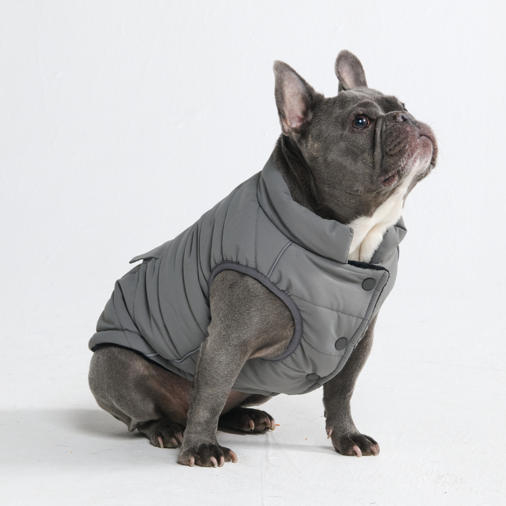 Petloom All-Season Insulated Dog Jacket™