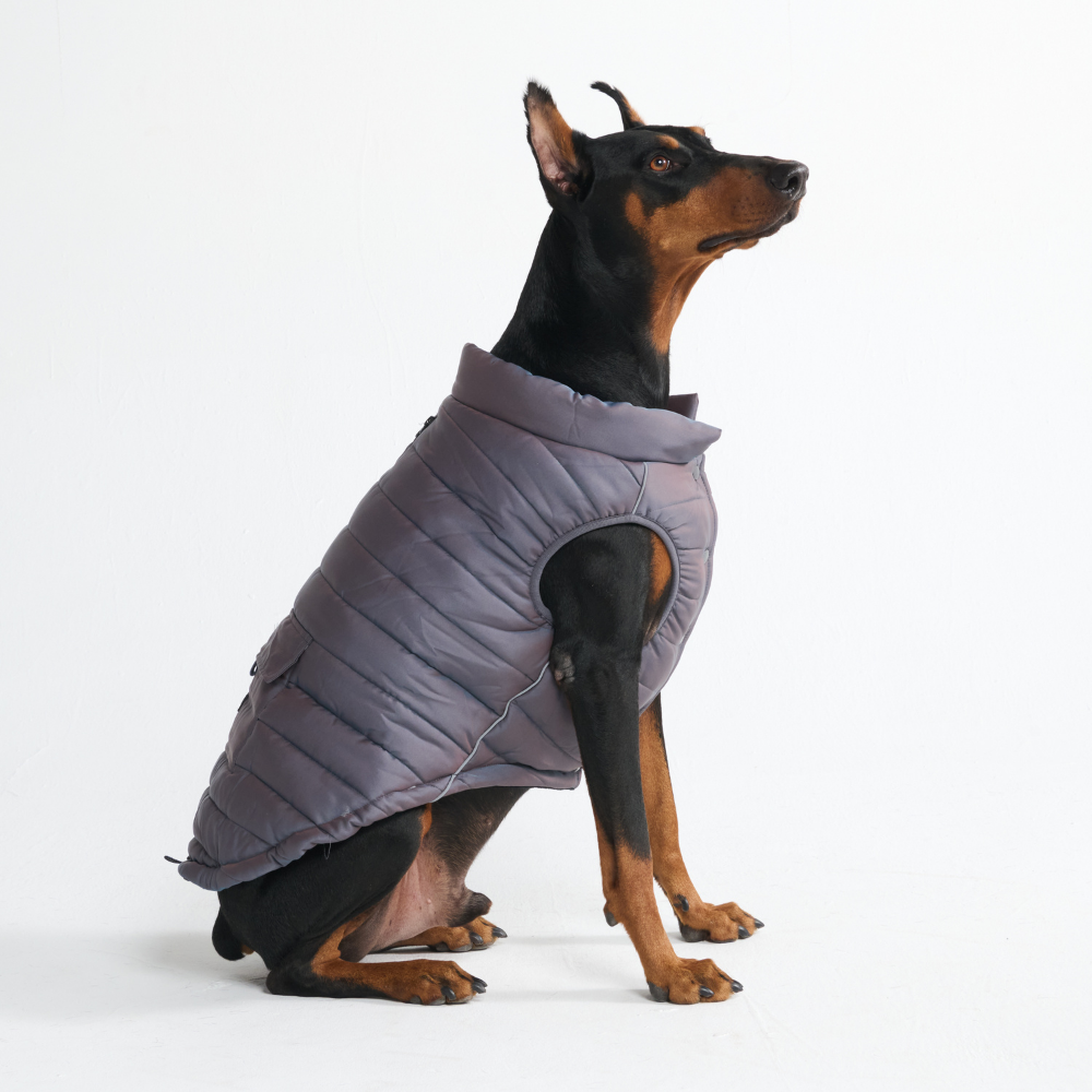 Petloom All-Season Insulated Dog Jacket™