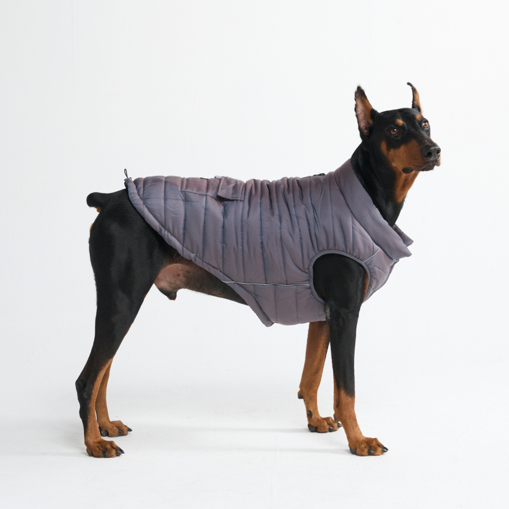 Petloom All-Season Insulated Dog Jacket™