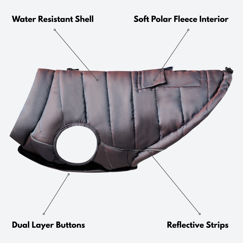 Petloom All-Season Insulated Dog Jacket™
