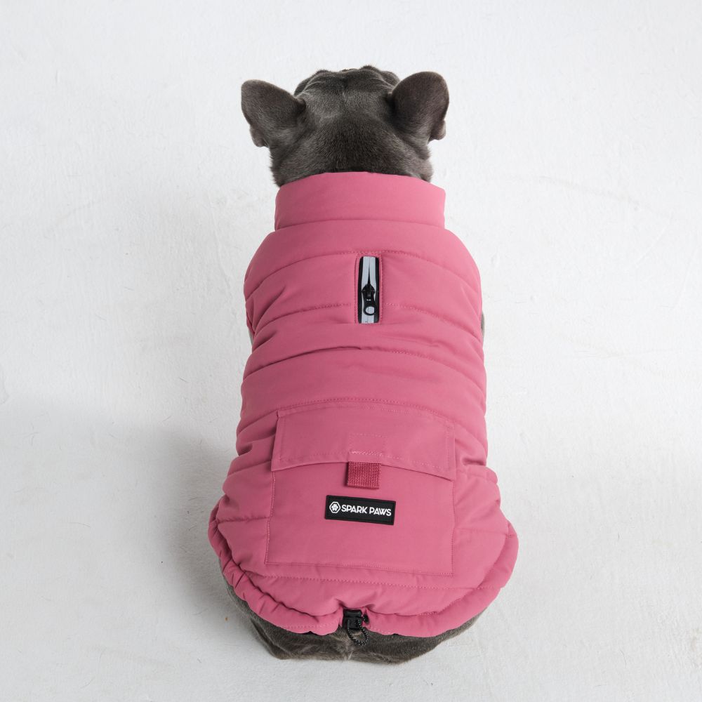 Petloom All-Season Insulated Dog Jacket™