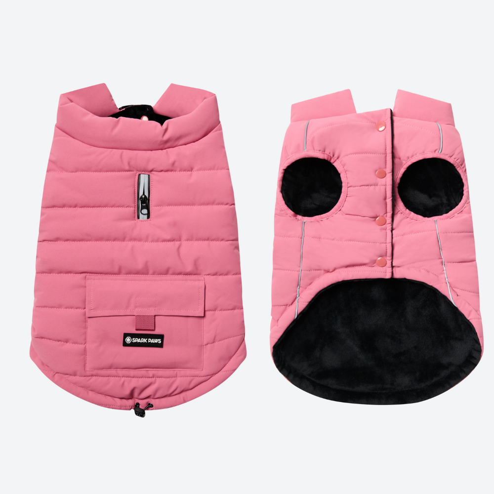 Petloom All-Season Insulated Dog Jacket™